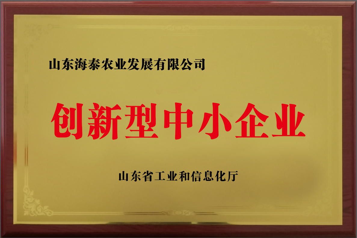 创新型中小企业